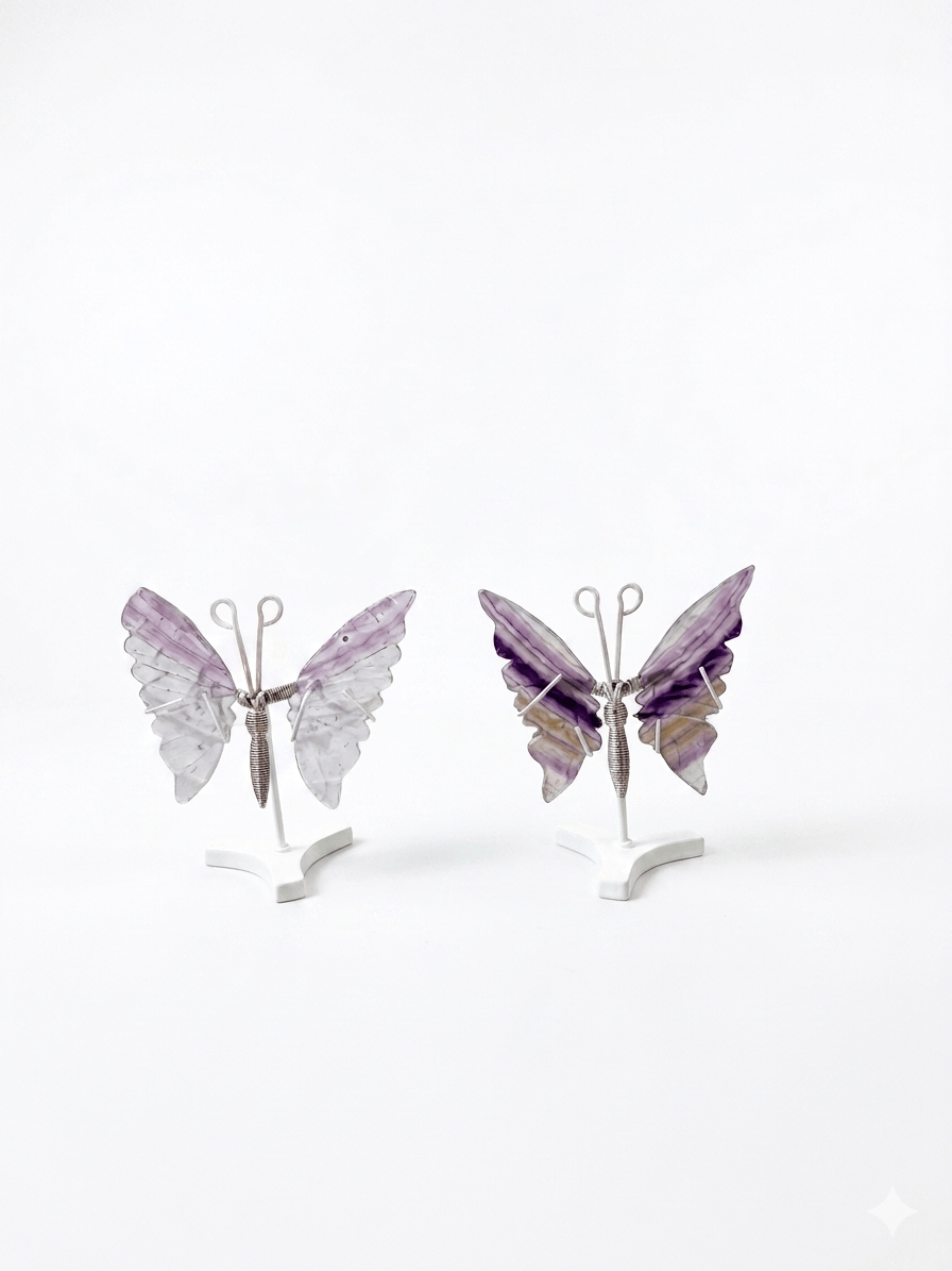 Fluorite Butterfly on Silver Stand | The Harmony Store Carving