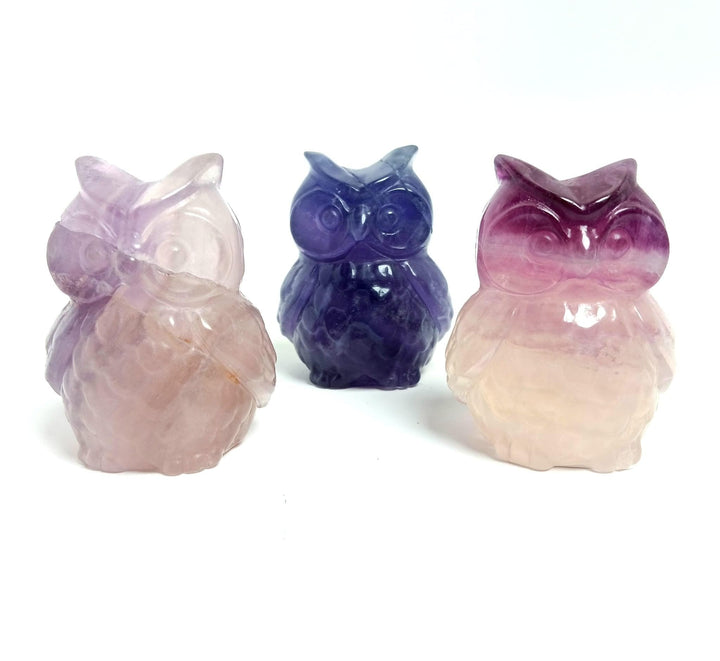 Fluorite Hand Carved Owl 3 inch | The Harmony Store