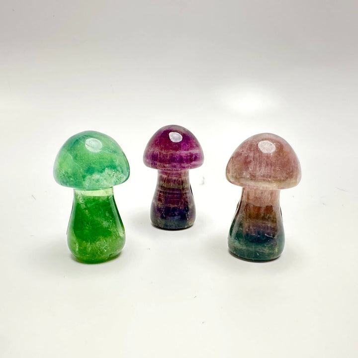 Fluorite Mushroom Carving | The Harmony Store Mushroom
