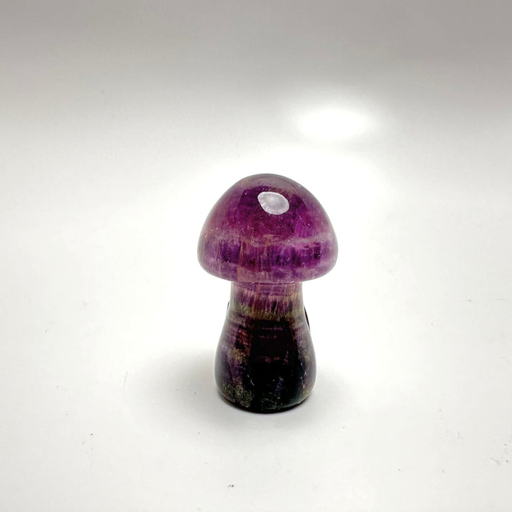 Fluorite Mushroom Carving | The Harmony Store Mushroom
