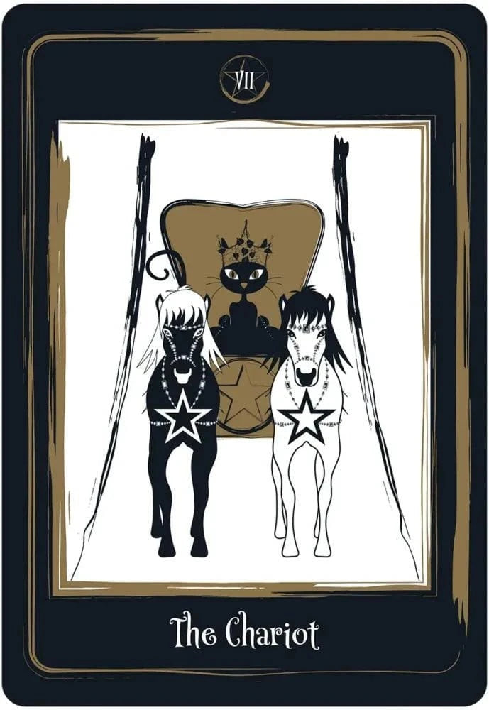 Golden Black Cat Tarot Deck | The Harmony Store Tarot Deck