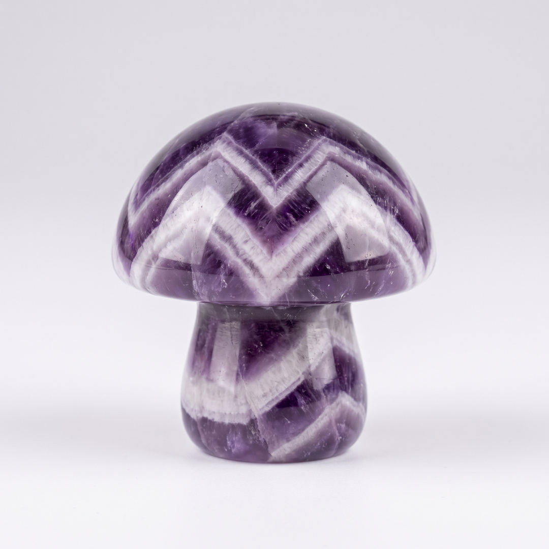 Chevron Amethyst Mushroom