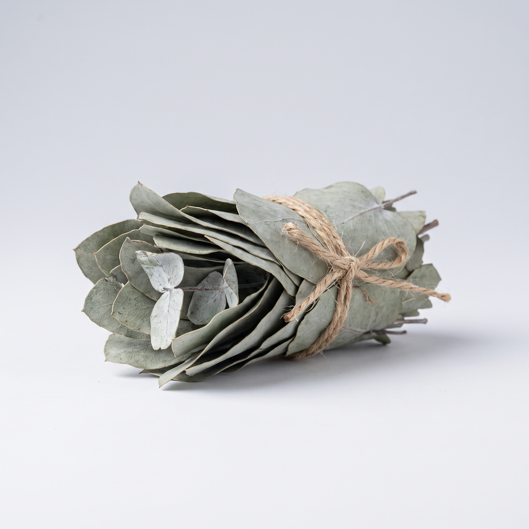 Eucalyptus (Herb)