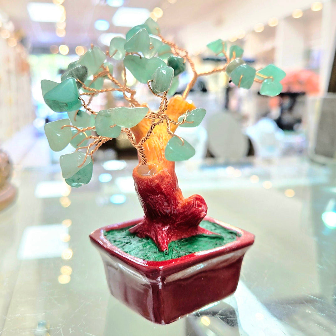 Jade Bonsai Tree Red Base