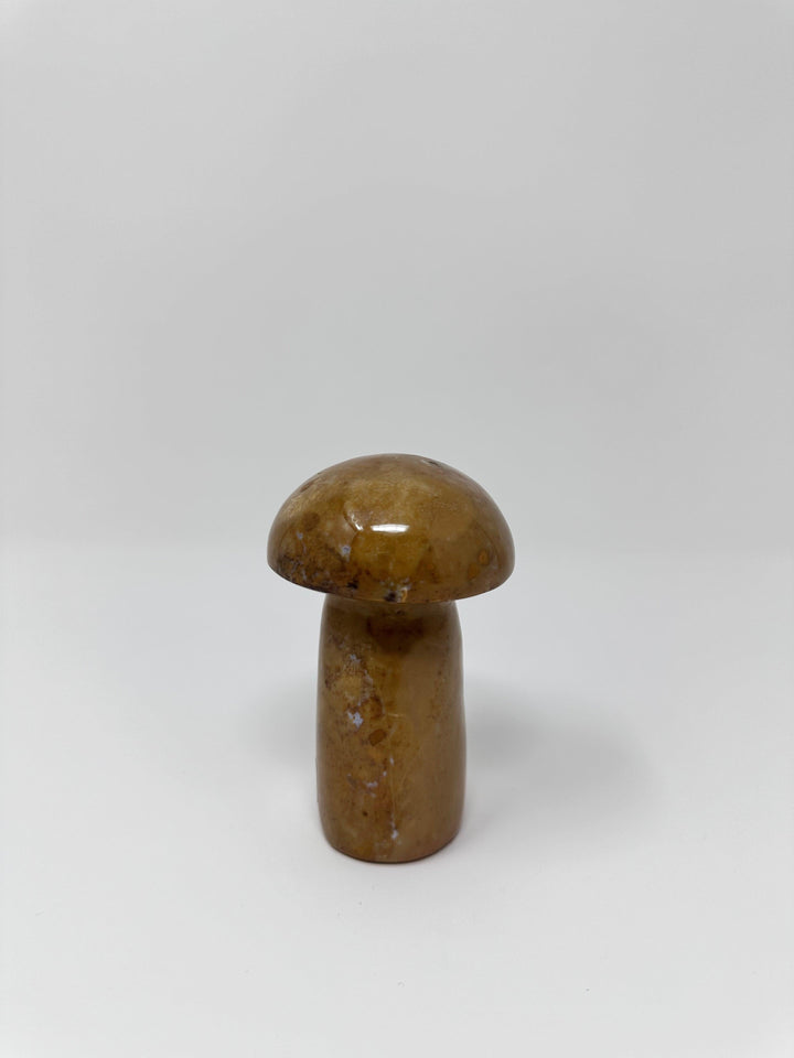 Jasper Crystal Mushroom | The Harmony Store Mushroom