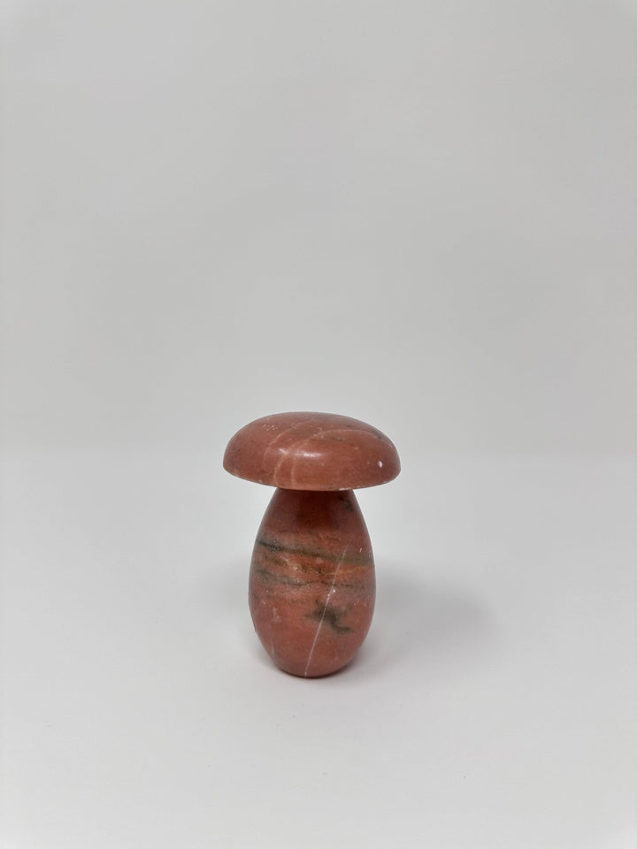 Jasper Crystal Mushroom | The Harmony Store Mushroom
