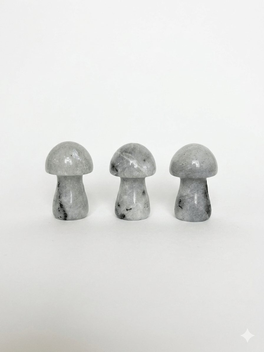 Labradorite Mushroom | The Harmony Store Carving
