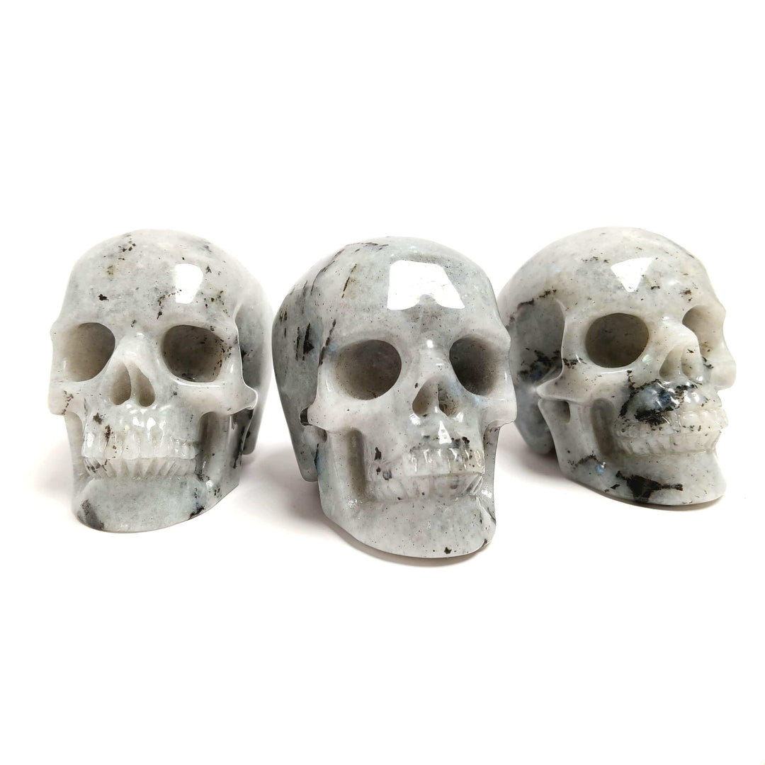 Labradorite Hand Carved Skull | The Harmony Store Crystal Skull