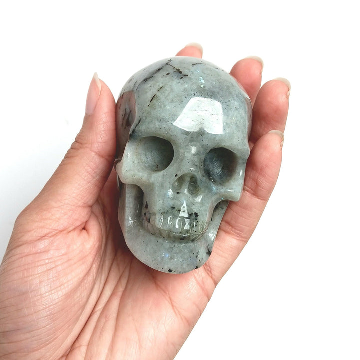 Labradorite Hand Carved Skull | The Harmony Store Crystal Skull
