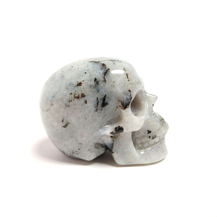 Labradorite Hand Carved Skull | The Harmony Store Crystal Skull