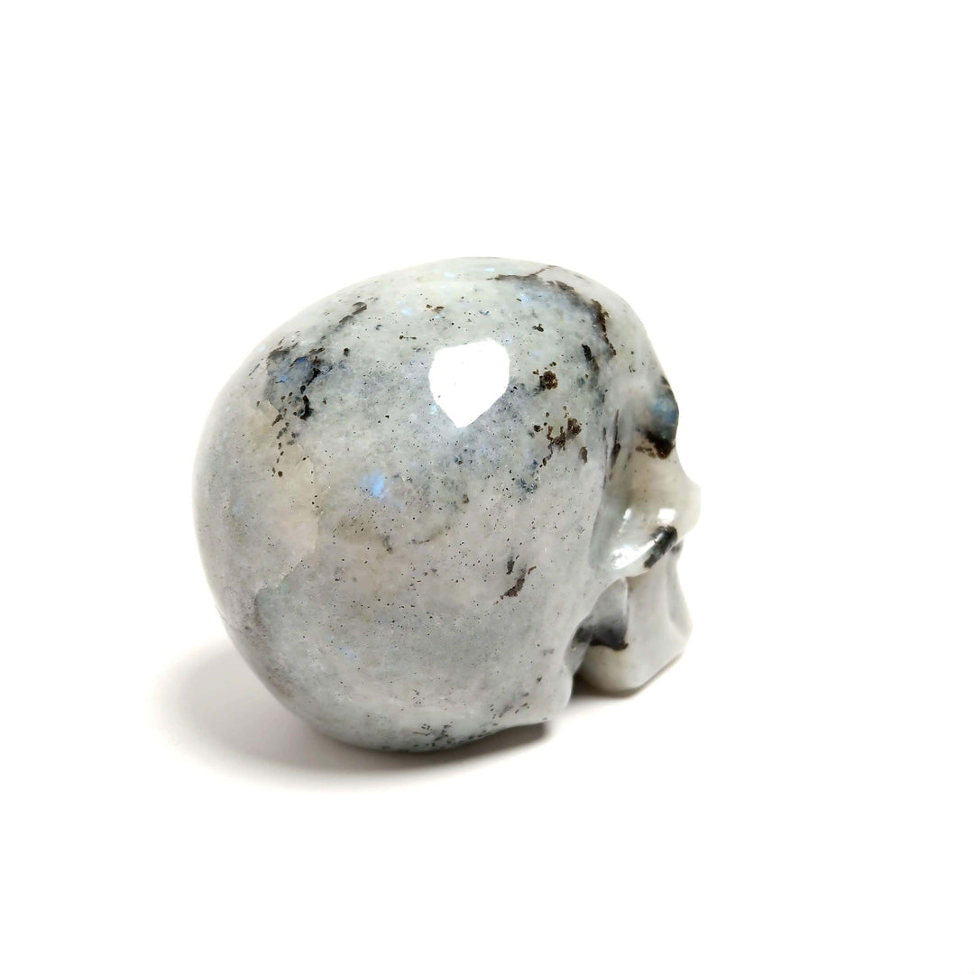 Labradorite Hand Carved Skull | The Harmony Store Crystal Skull