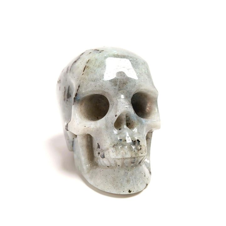 Labradorite Hand Carved Skull | The Harmony Store Crystal Skull