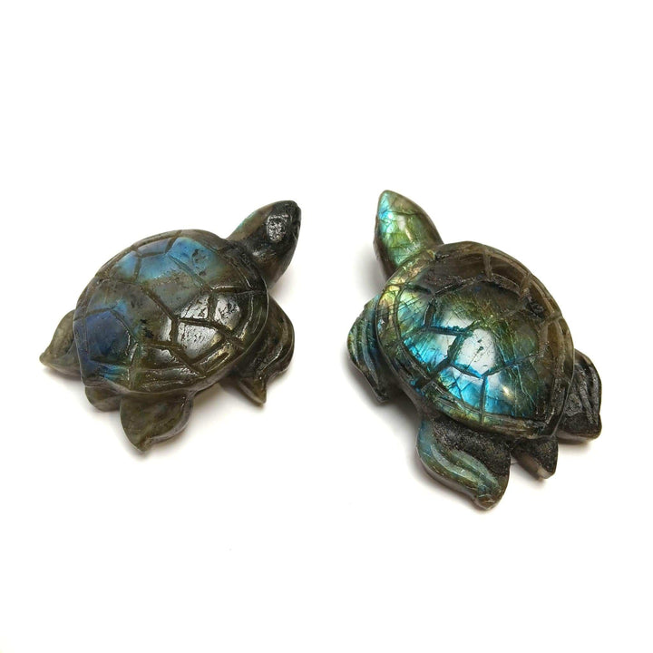Labradorite Turtle Carving 2" | The Harmony Store Carving