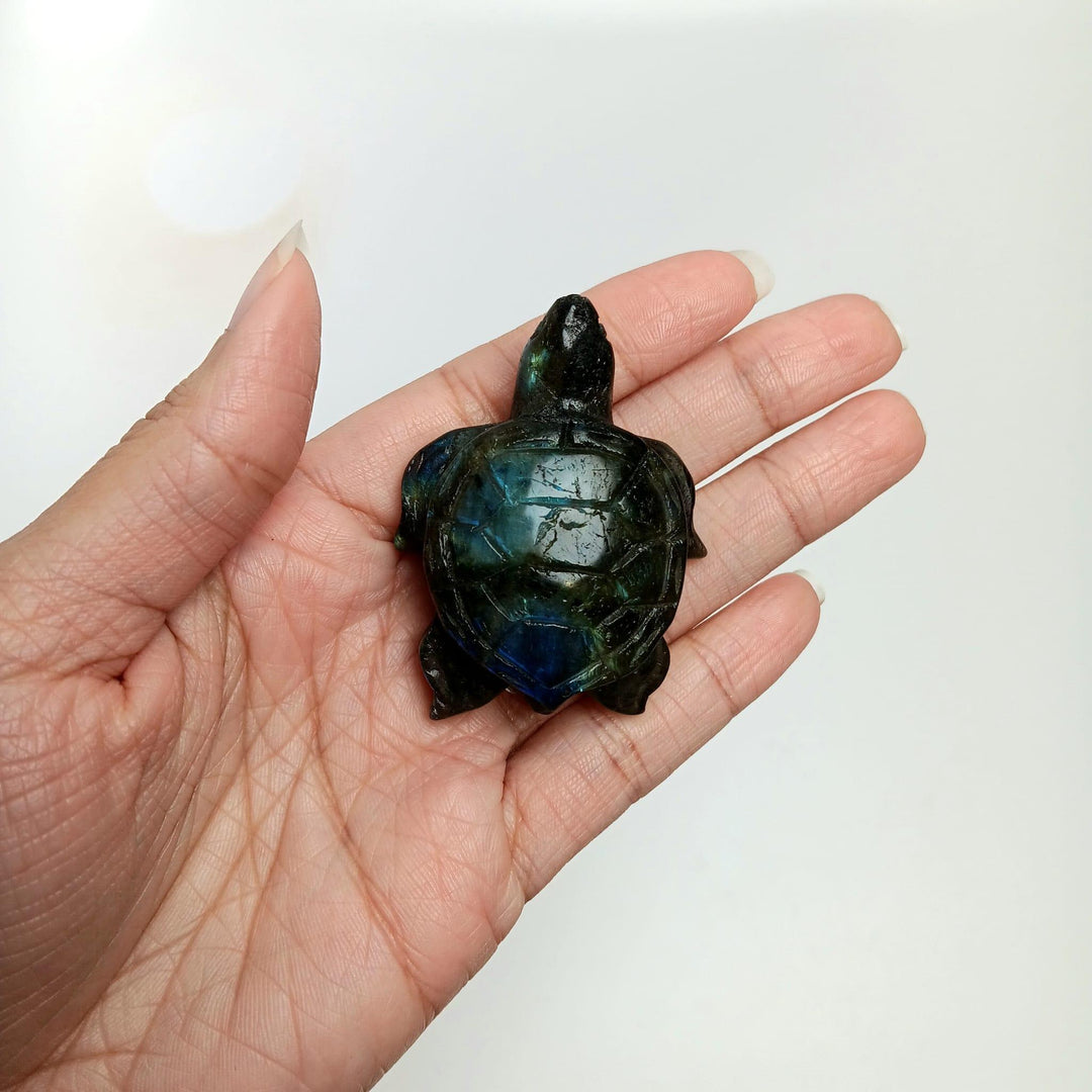 Labradorite Turtle Carving 2" | The Harmony Store Carving