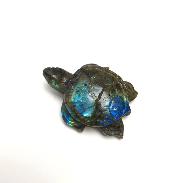 Labradorite Turtle Carving 2" | The Harmony Store Carving