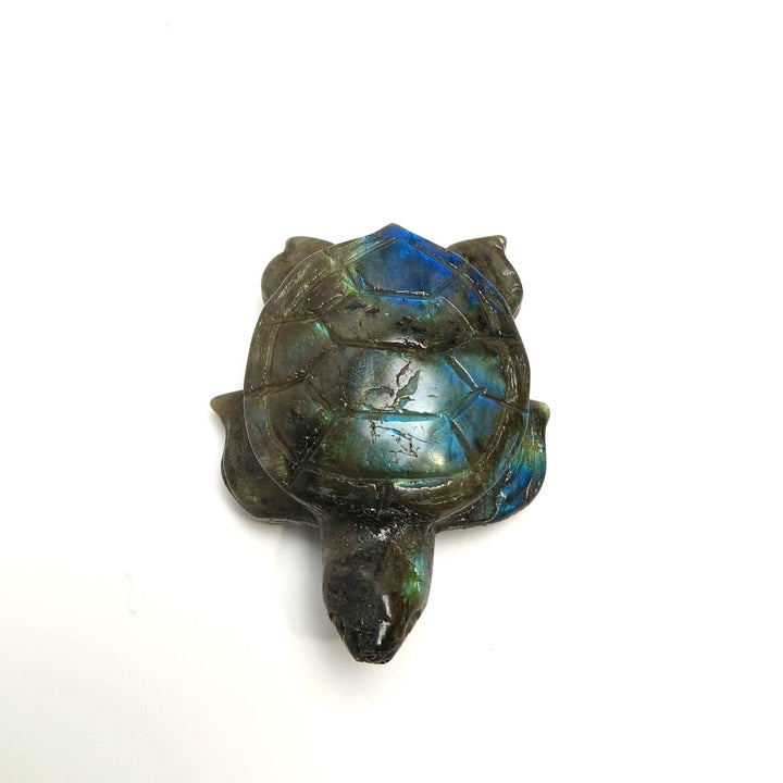 Labradorite Turtle Carving 2" | The Harmony Store Carving