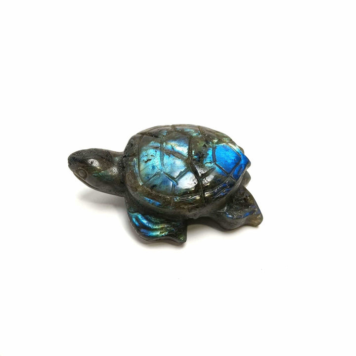 Labradorite Turtle Carving 2" | The Harmony Store Carving