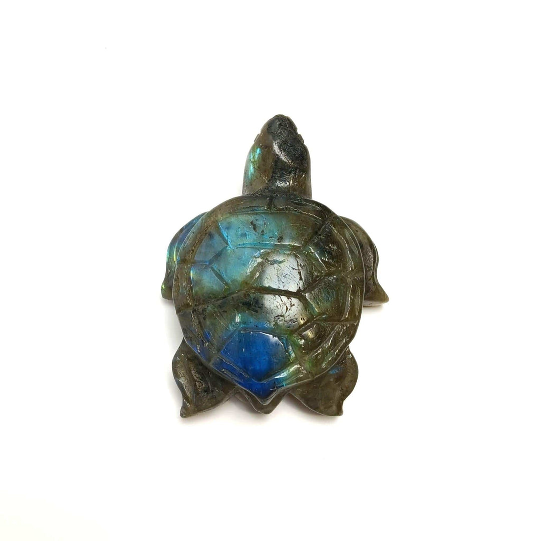 Labradorite Turtle Carving 2" | The Harmony Store Carving