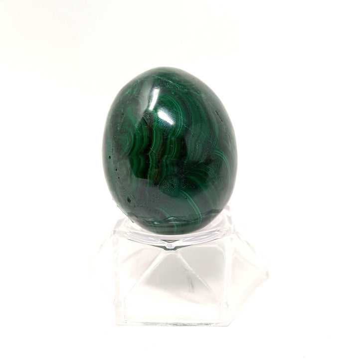 Malachite Egg Crystal | The Harmony Store Egg