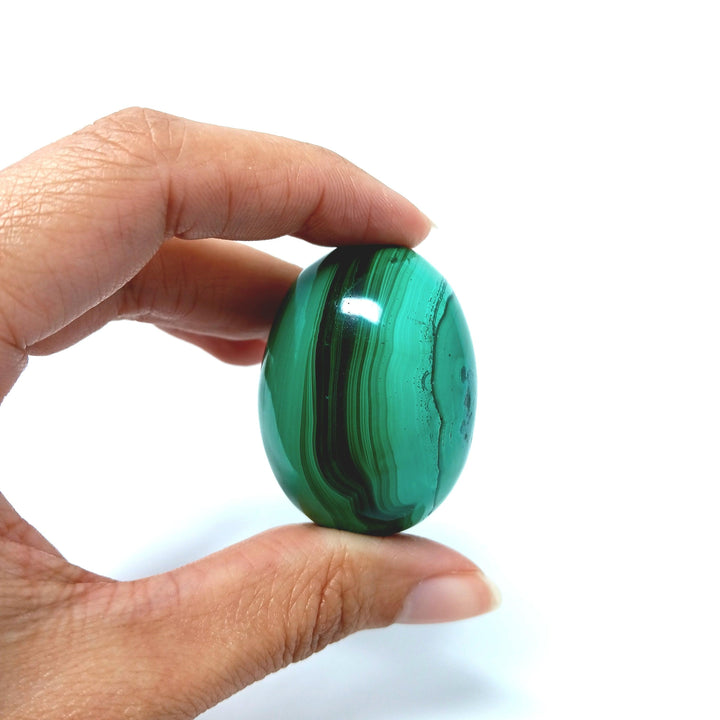 Malachite Egg Crystal | The Harmony Store Egg