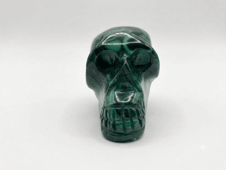 Malachite Crystal Skull | The Harmony Store Skull