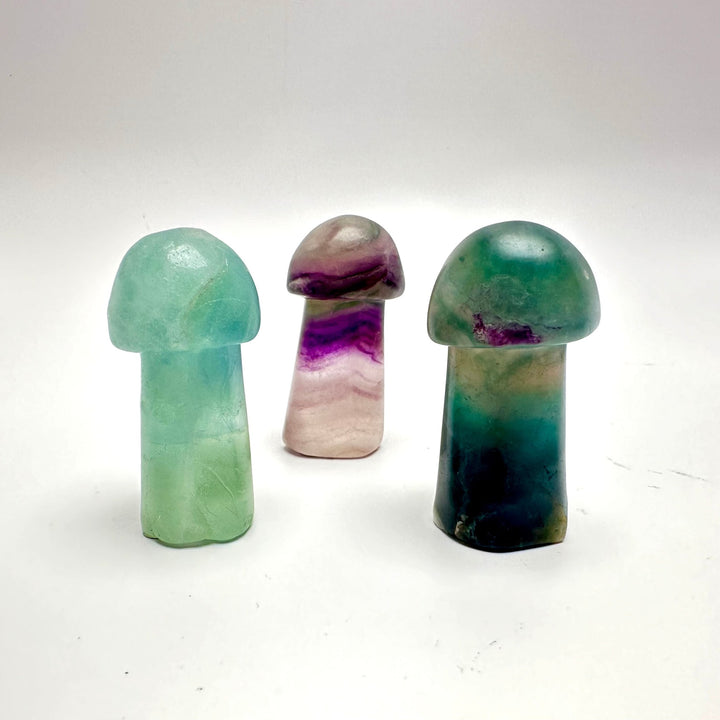Mushroom-Fluorite : 2" - The Harmony Store