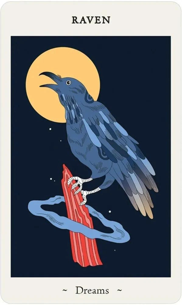Oracle of the Novice Witches Deck | The Harmony Store Oracle Deck