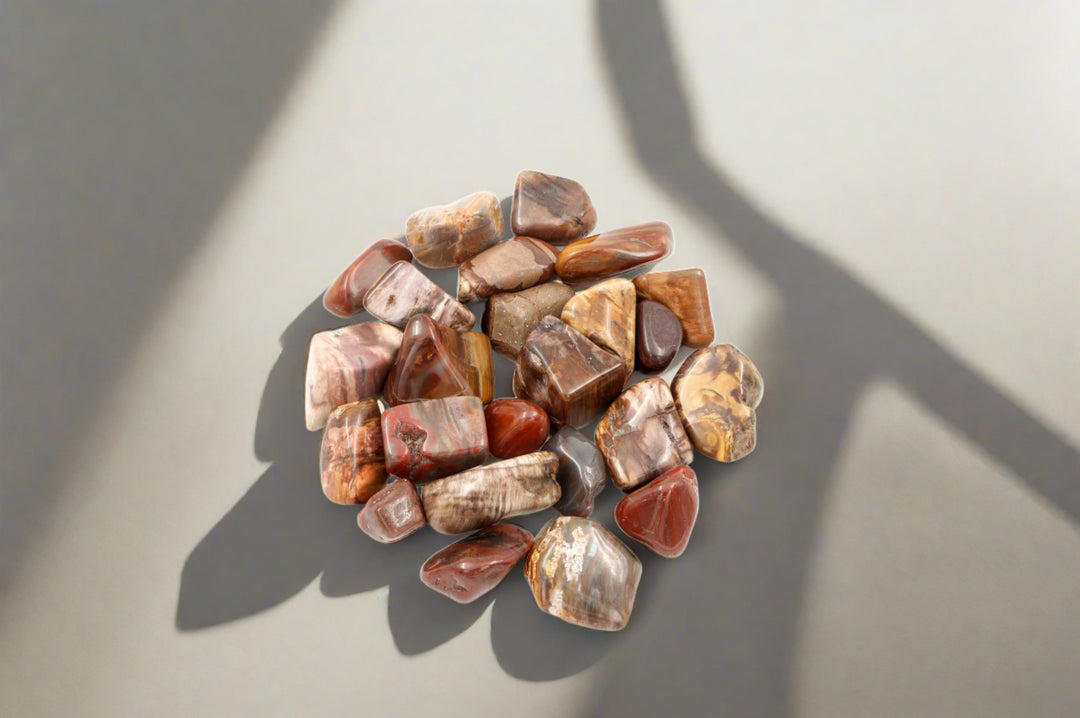 Petrified Wood Tumbled Stone Crystal Tumbled