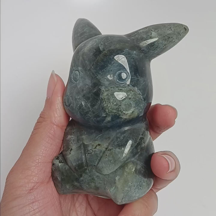 Pokemon Pikachu Crystal