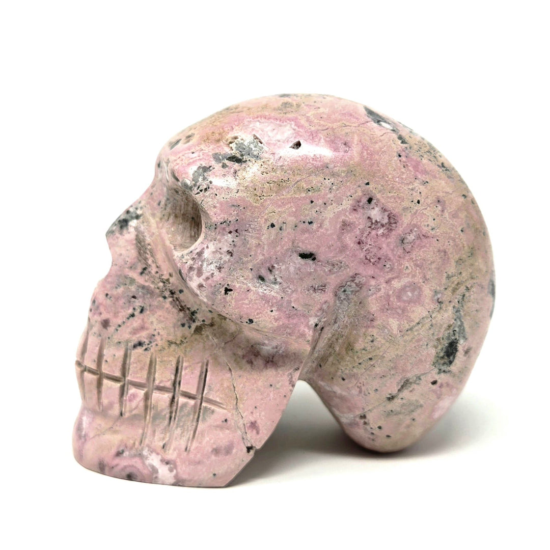 Rhodonite Skull | The Harmony Store Skull