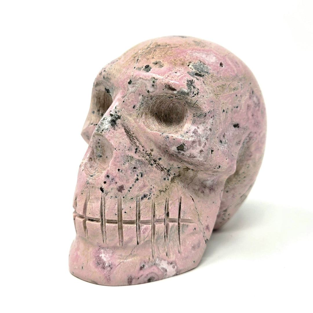 Rhodonite Skull | The Harmony Store Skull