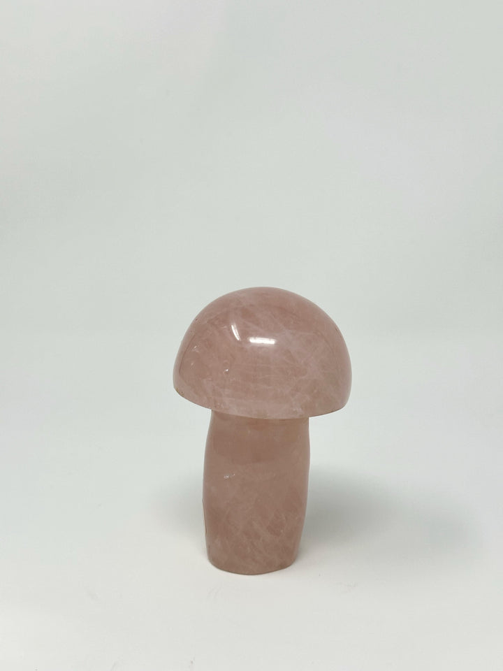Rose Quartz Mushroom Madagascar | The Harmony Store Mushroom