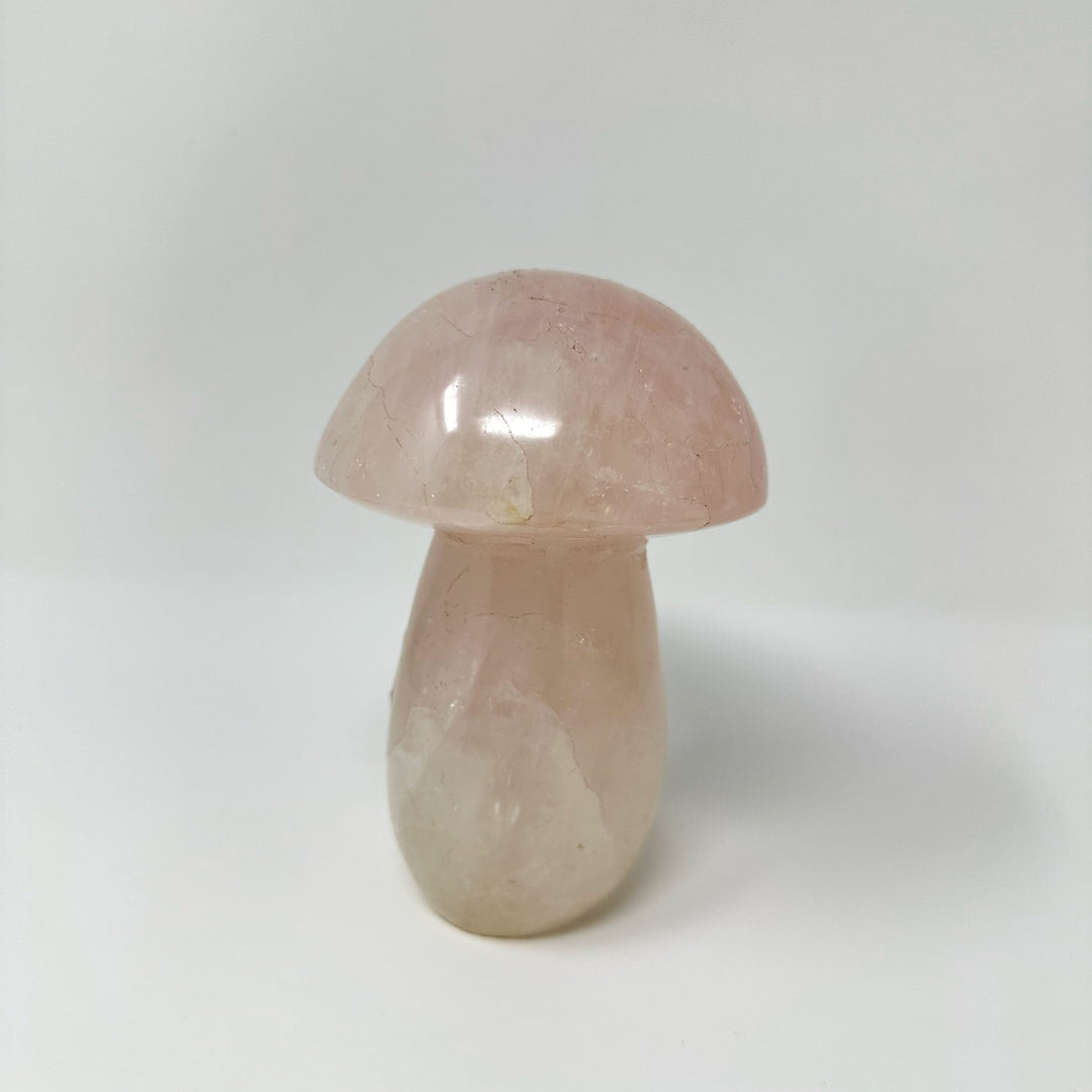 Rose Quartz Mushroom Madagascar | The Harmony Store Mushroom