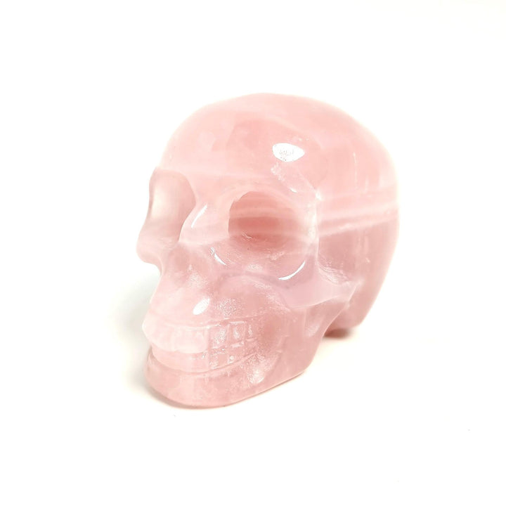 Rose Quartz Crystal Skull | The Harmony Store Skull
