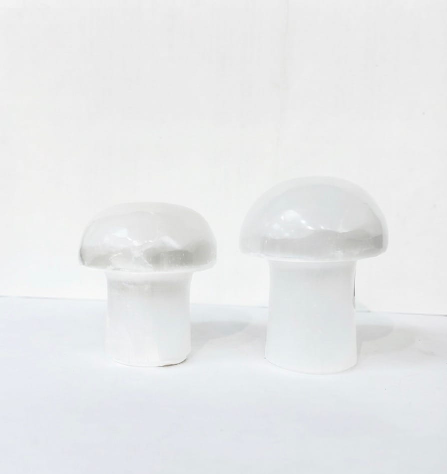 Selenite Mushroom Carving | The Harmony Store Mushroom