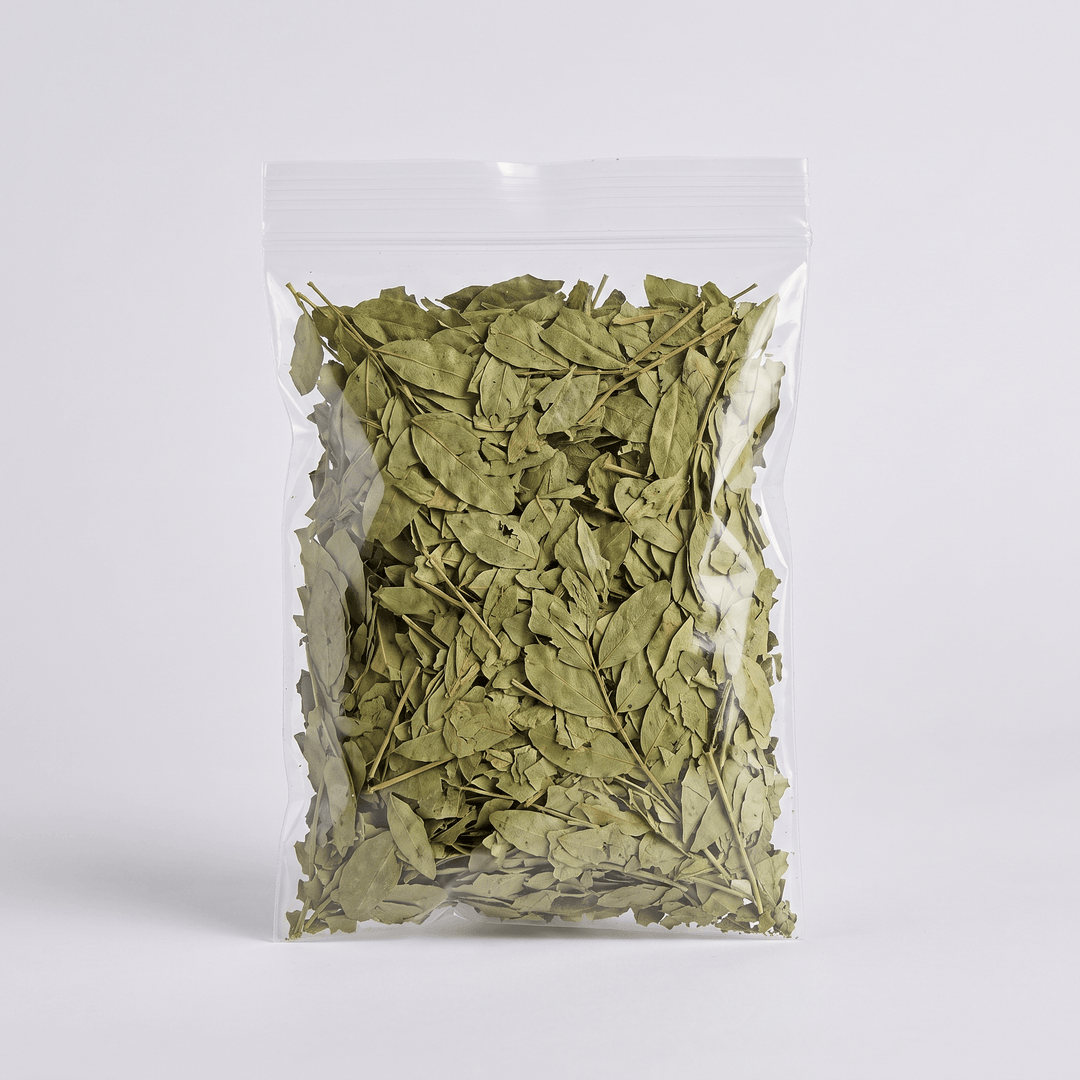 Dried senna leaves (hoja de sen), loose botanical — The Harmony Store