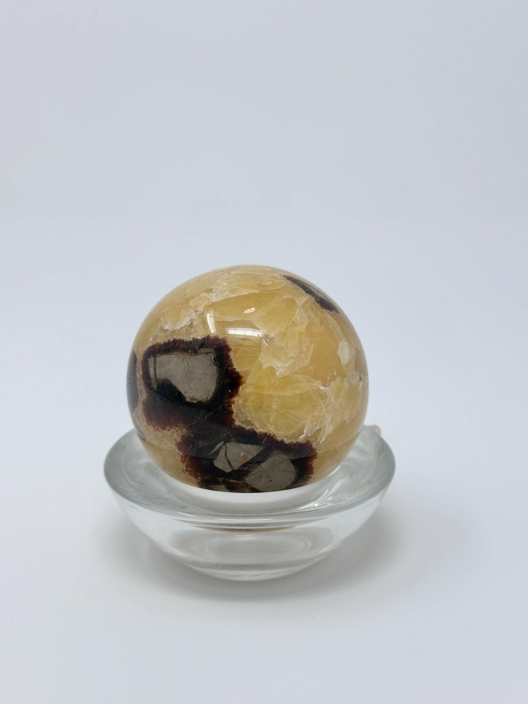 Septarian Crystal Sphere | The Harmony Store Sphere