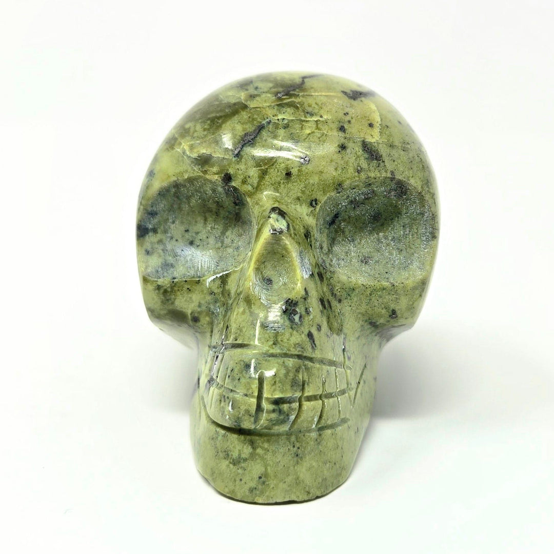 Serpentine Crystal Skull | The Harmony Store Skull