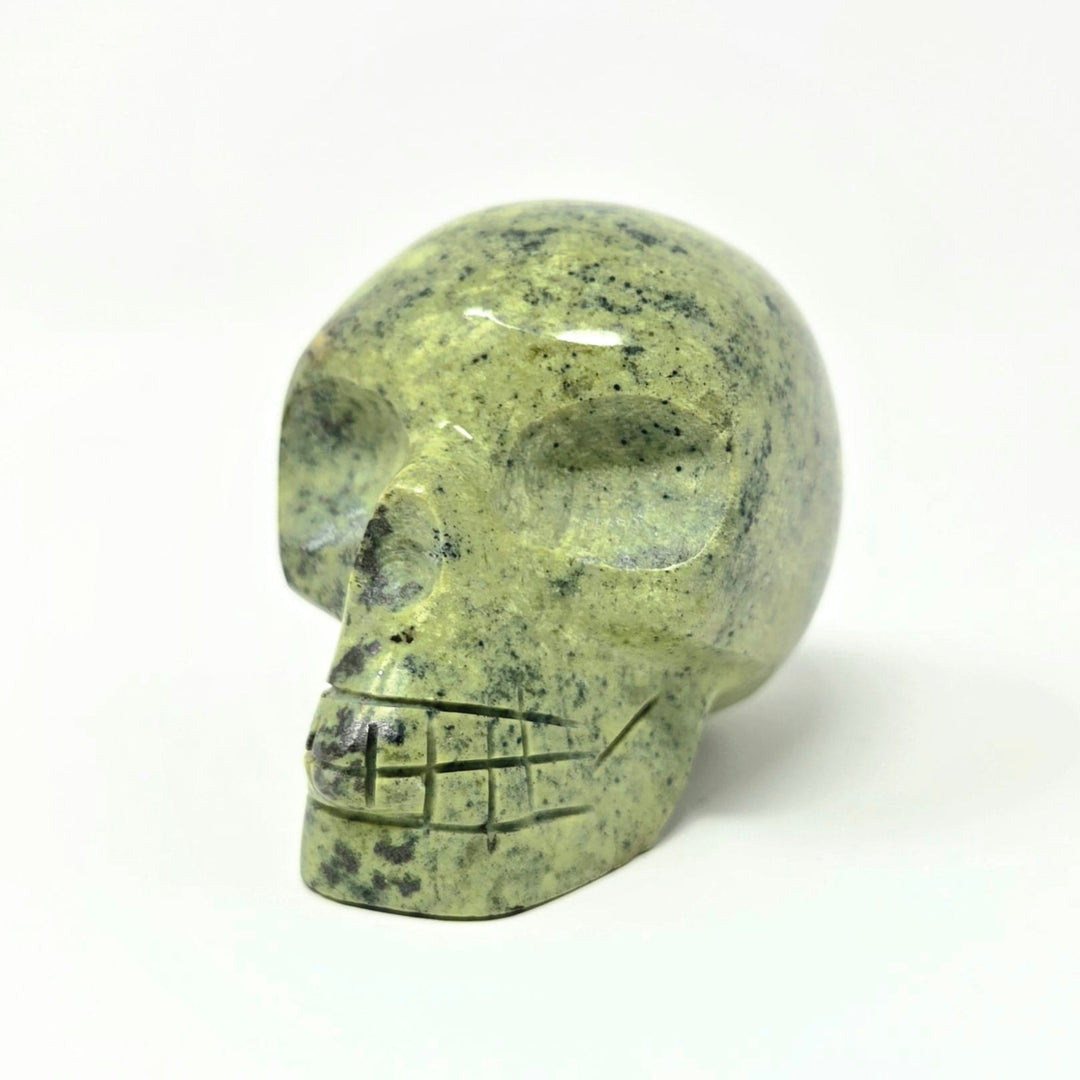 Serpentine Crystal Skull | The Harmony Store Skull