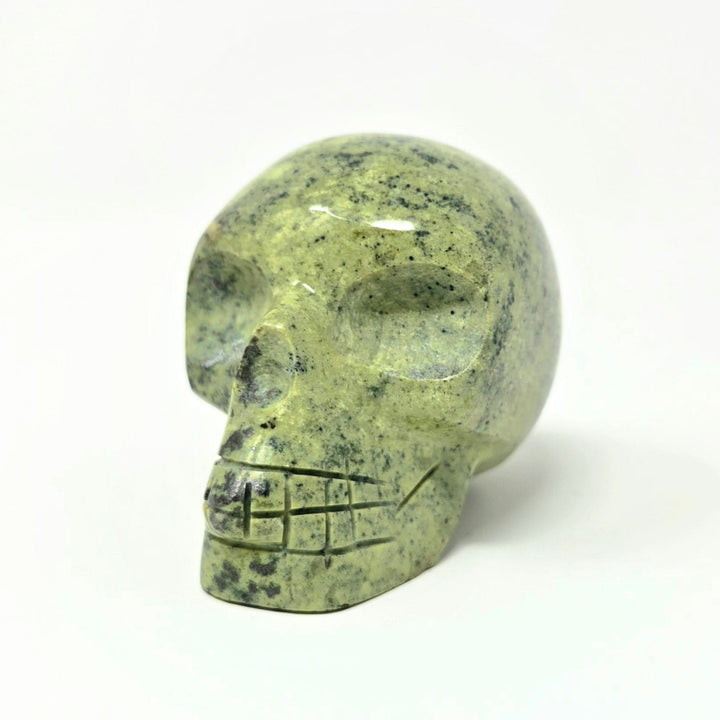 Serpentine Crystal Skull | The Harmony Store Skull