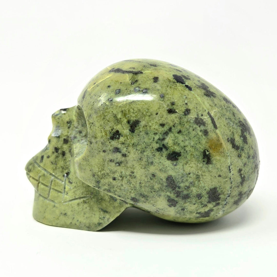 Serpentine Crystal Skull | The Harmony Store Skull