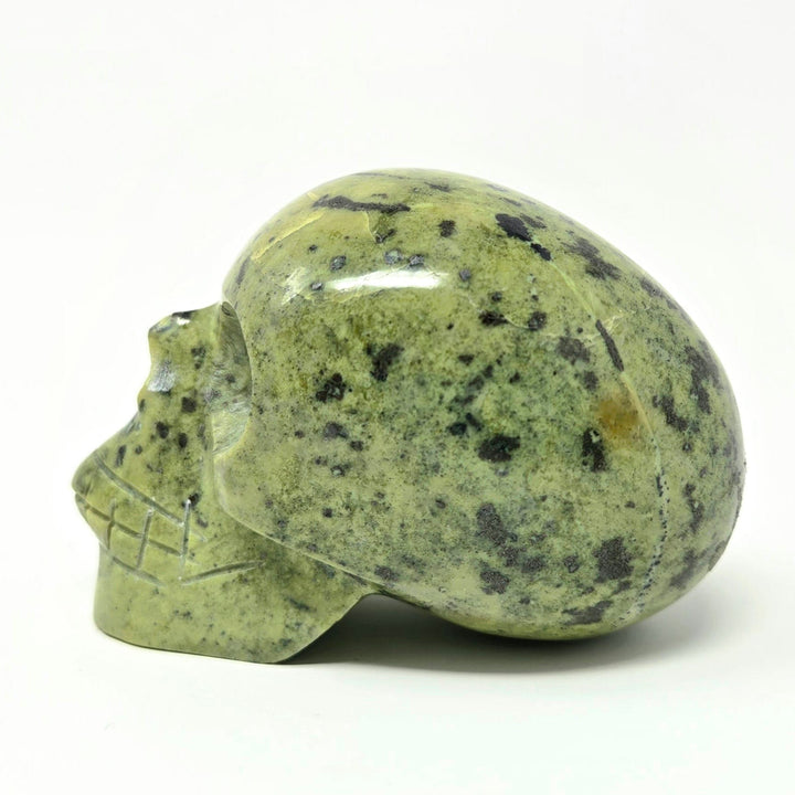 Serpentine Crystal Skull | The Harmony Store Skull