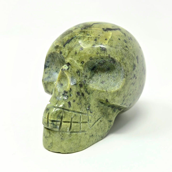 Serpentine Crystal Skull | The Harmony Store Skull