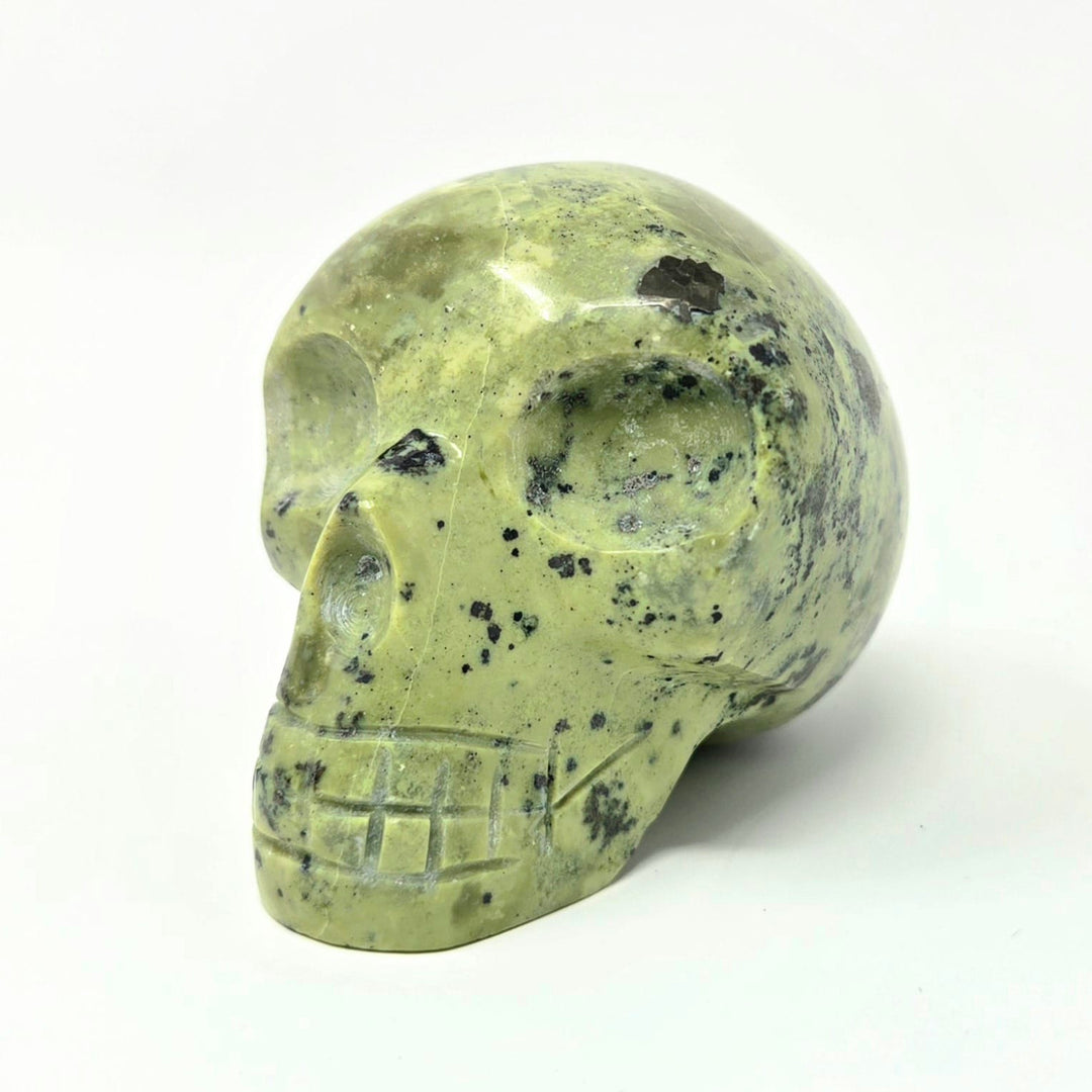 Serpentine Crystal Skull | The Harmony Store Skull