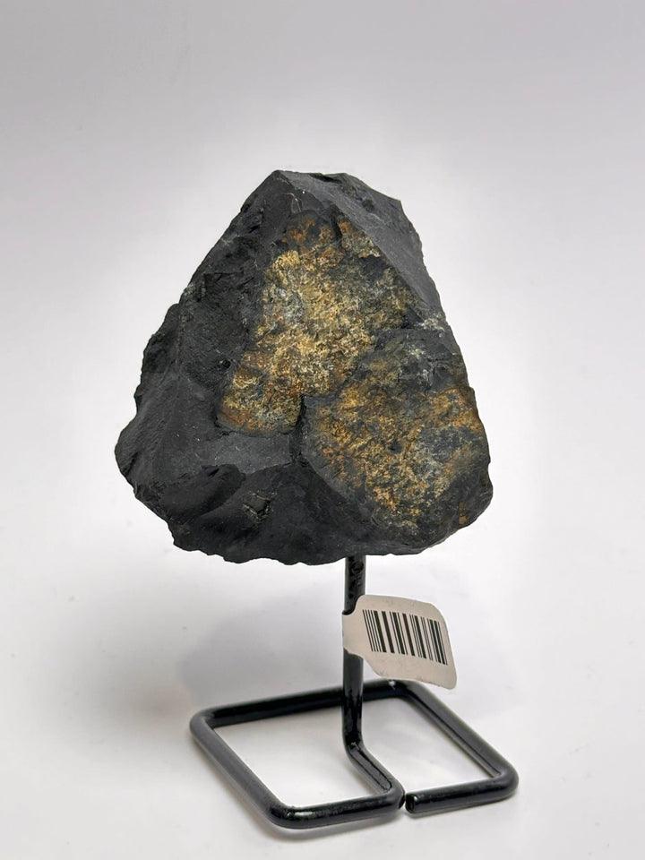 Shungite Mini Display Pin | The Harmony Store Mini Pin