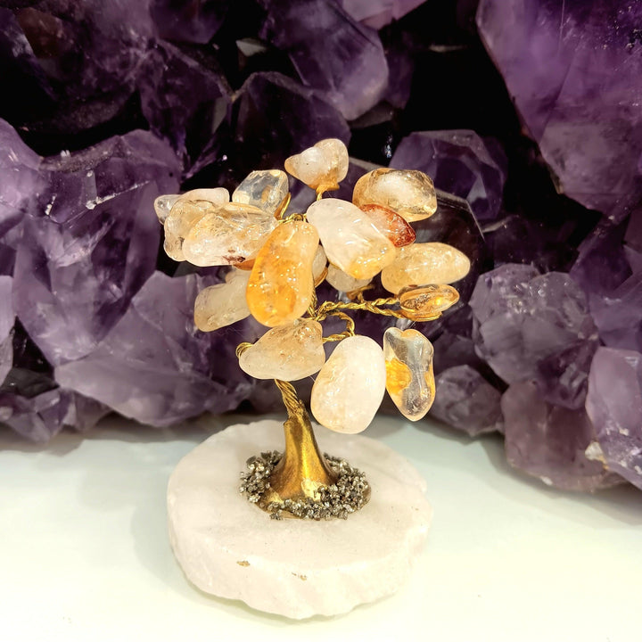 Small Bonsai Tree on Jasper Base | The Harmony Store Crystal Tree