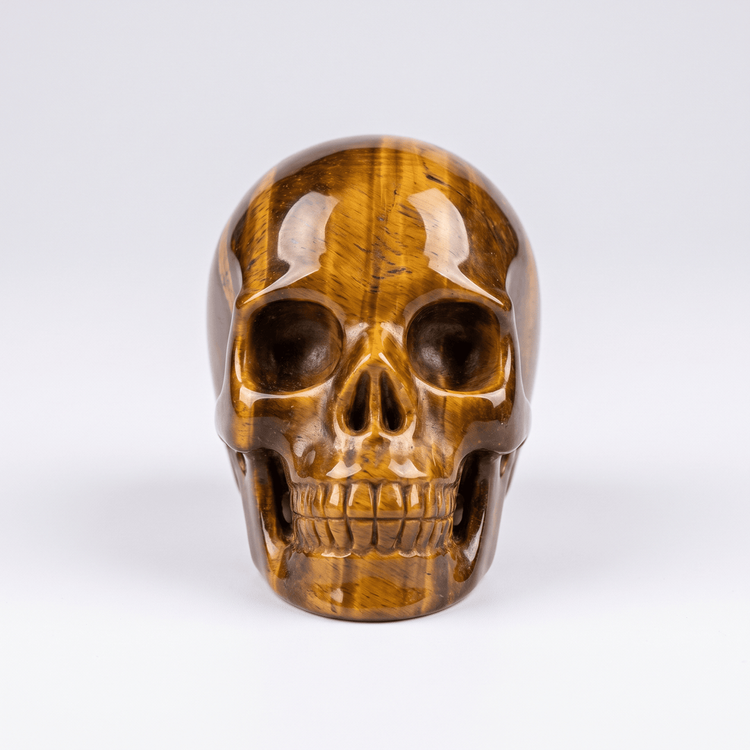 Tiger Eye Crystal Skull | The Harmony Store Skull