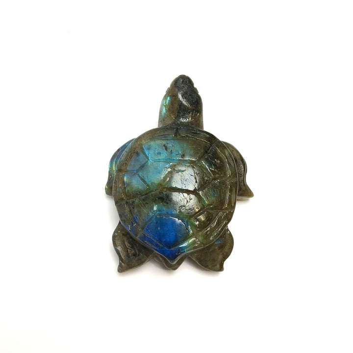 Turtle Carving-Labradorite : 2" - The Harmony Store