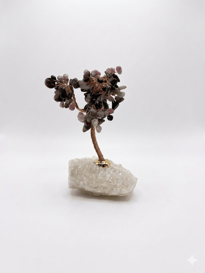 Watermelon Aura Bonsai Tree | The Harmony Store Tree