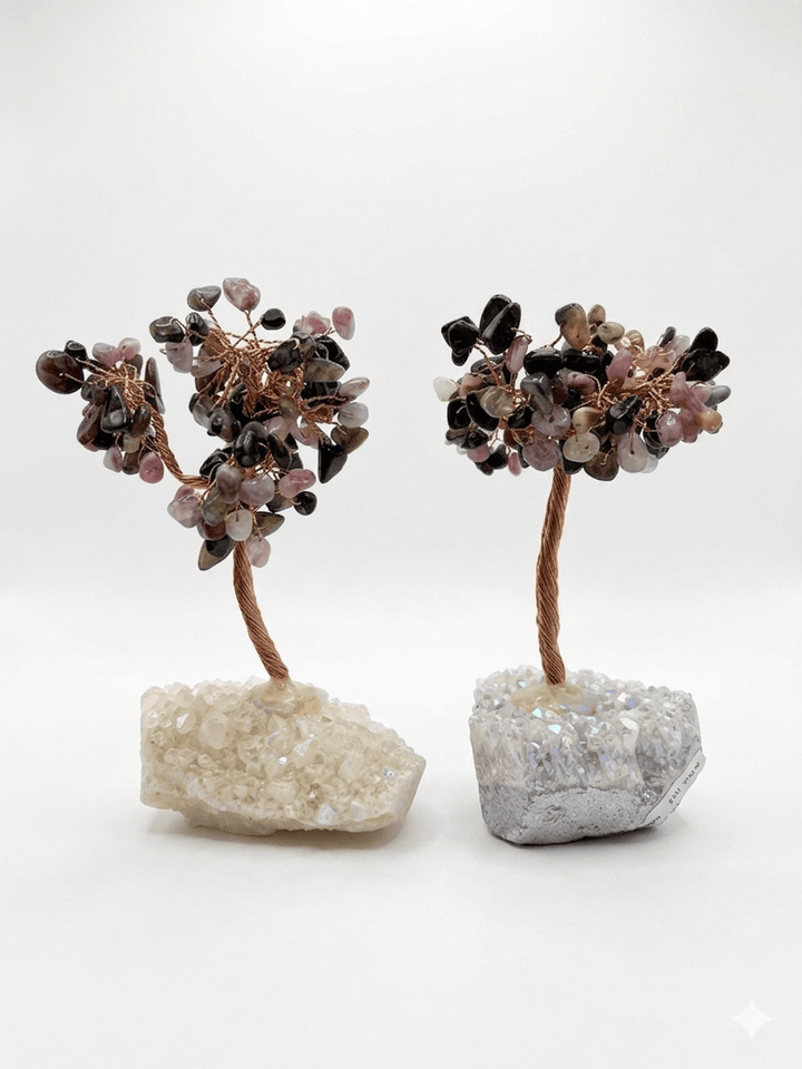 Watermelon Aura Bonsai Tree | The Harmony Store Tree